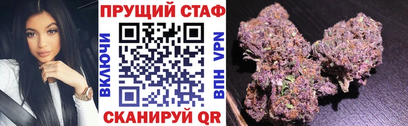 Псилоцибиновые грибы Чехов