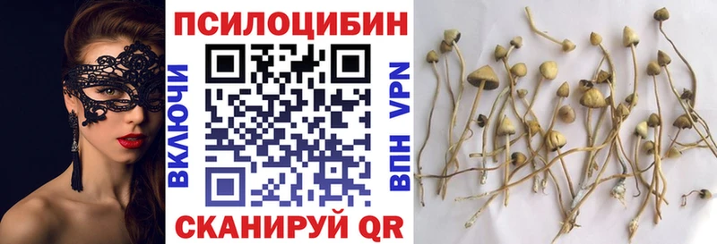 Псилоцибиновые грибы прущие грибы  Купить закладки  Чехов 