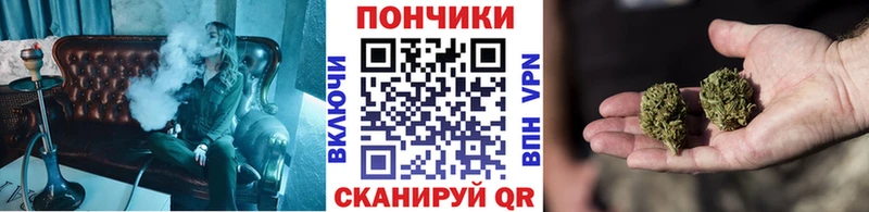Купить закладки  Чехов  Шишки марихуана план 